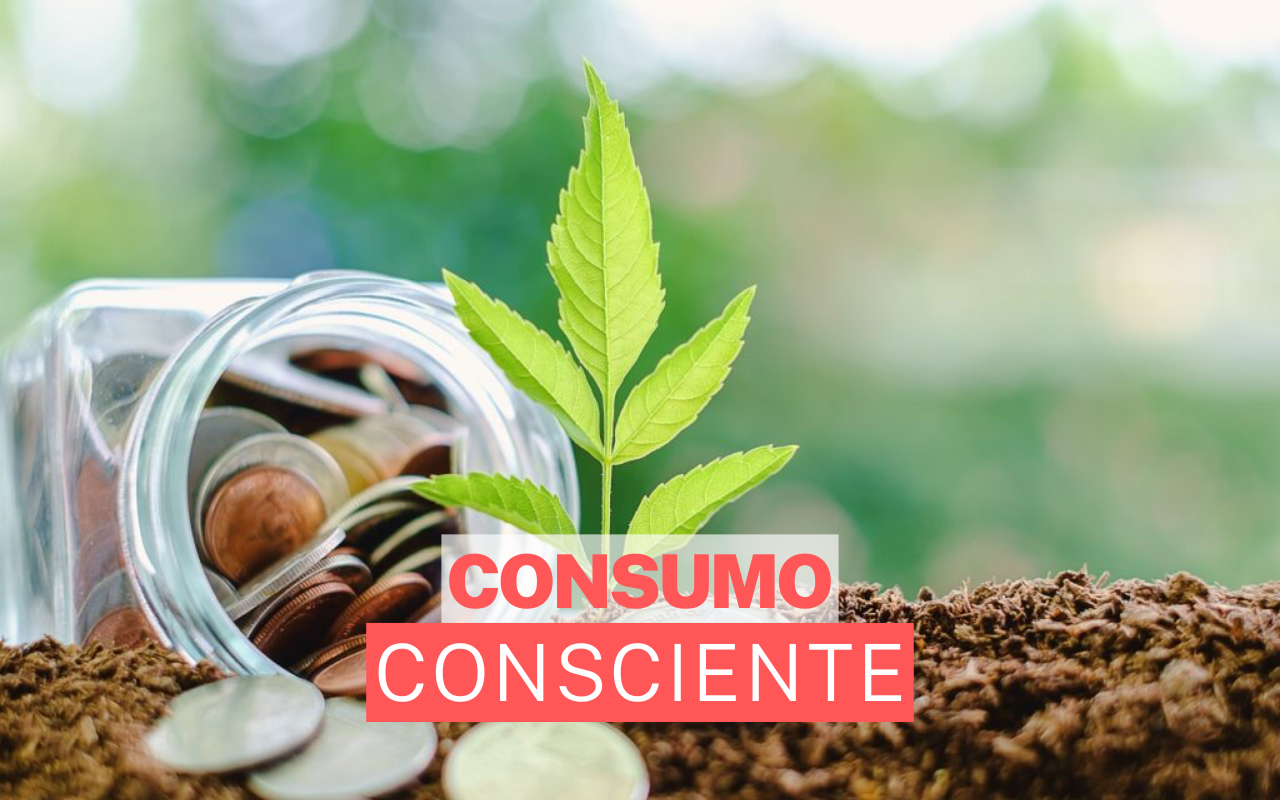 O impacto do consumo consciente no seu bolso